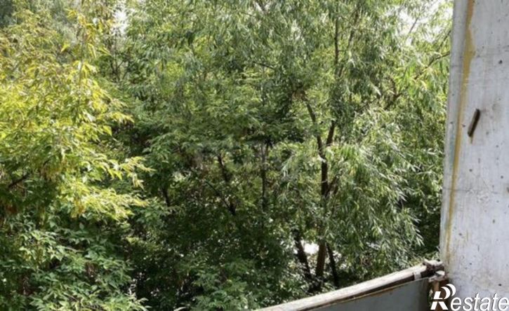 1-комн квартира Гражданская улица, 10А,  д. 10А