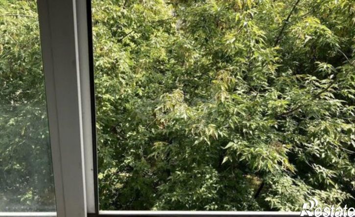 1-комн квартира Гражданская улица, 10А,  д. 10А