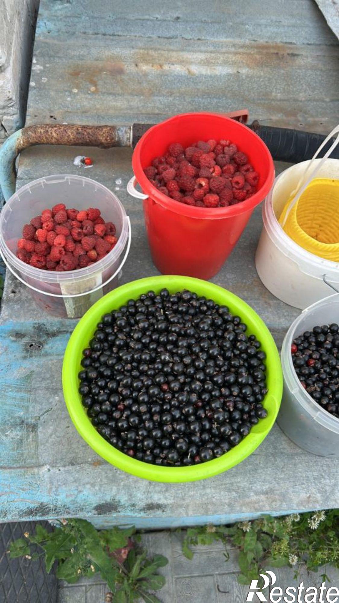 Купить землю, земельный участок за 1 000 000 рублей на СНТ Сигнал-3, 6-я улица, 667