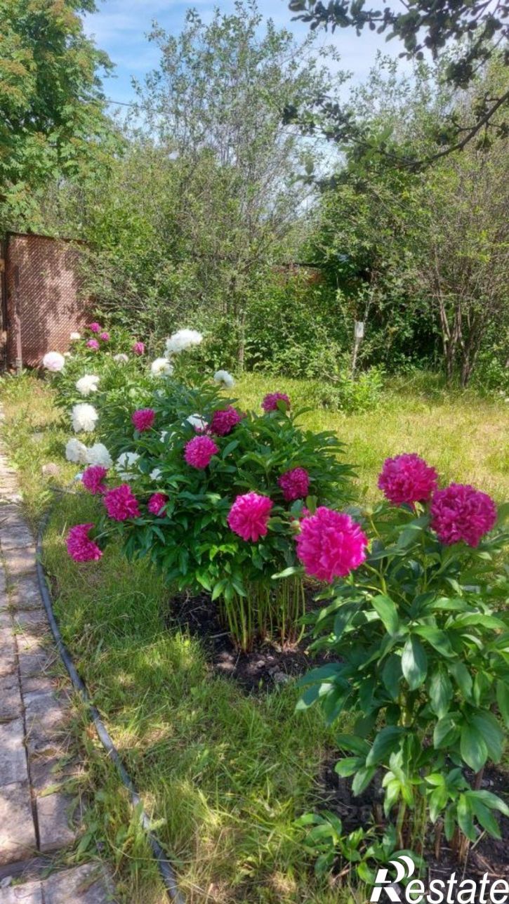 Земельный участок СНТ Дружба, 4-2710