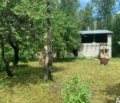земля 6.51 сот СНТ Янтарь, 44-я улица, 16