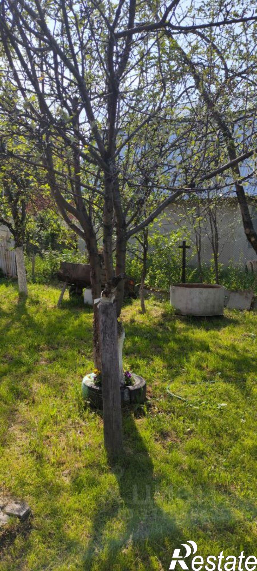 Купить дачу, дом, коттедж за 3 100 000 рублей на улица 23