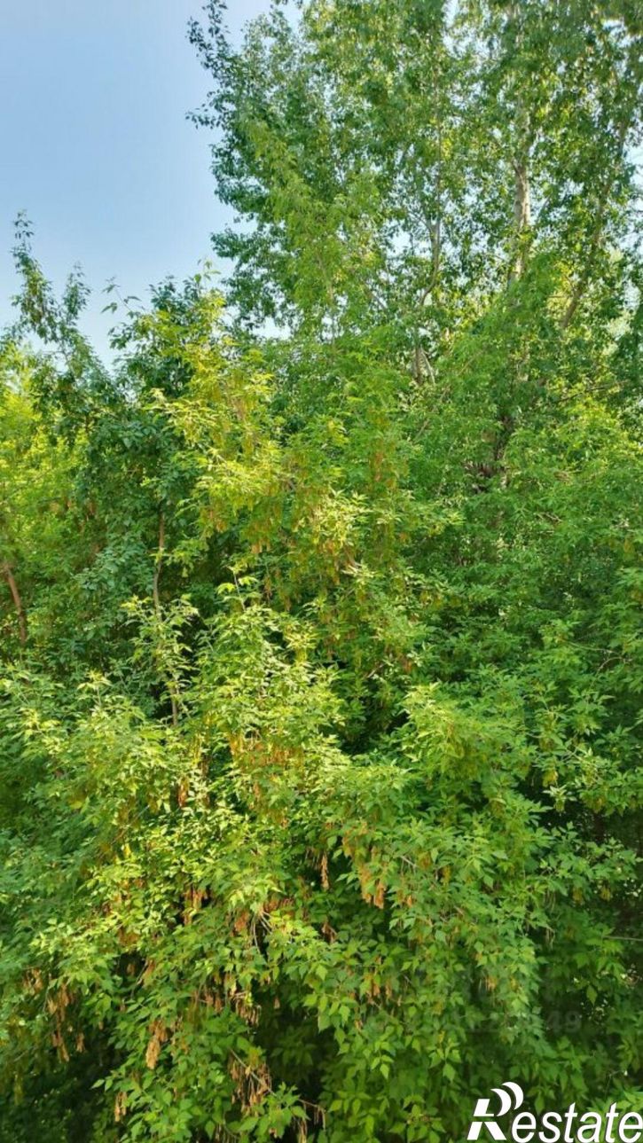 1-комн квартира ул Калмыкова, 14,  д. 14