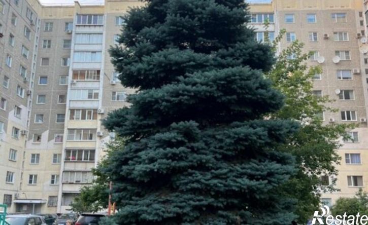 3-комн квартира ул Монакова, 31,  д. 31