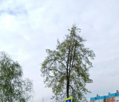 комната 18 кв м пер Руставели, 5