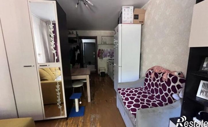 1-комн квартира Арматурный пер, 4,  д. 4