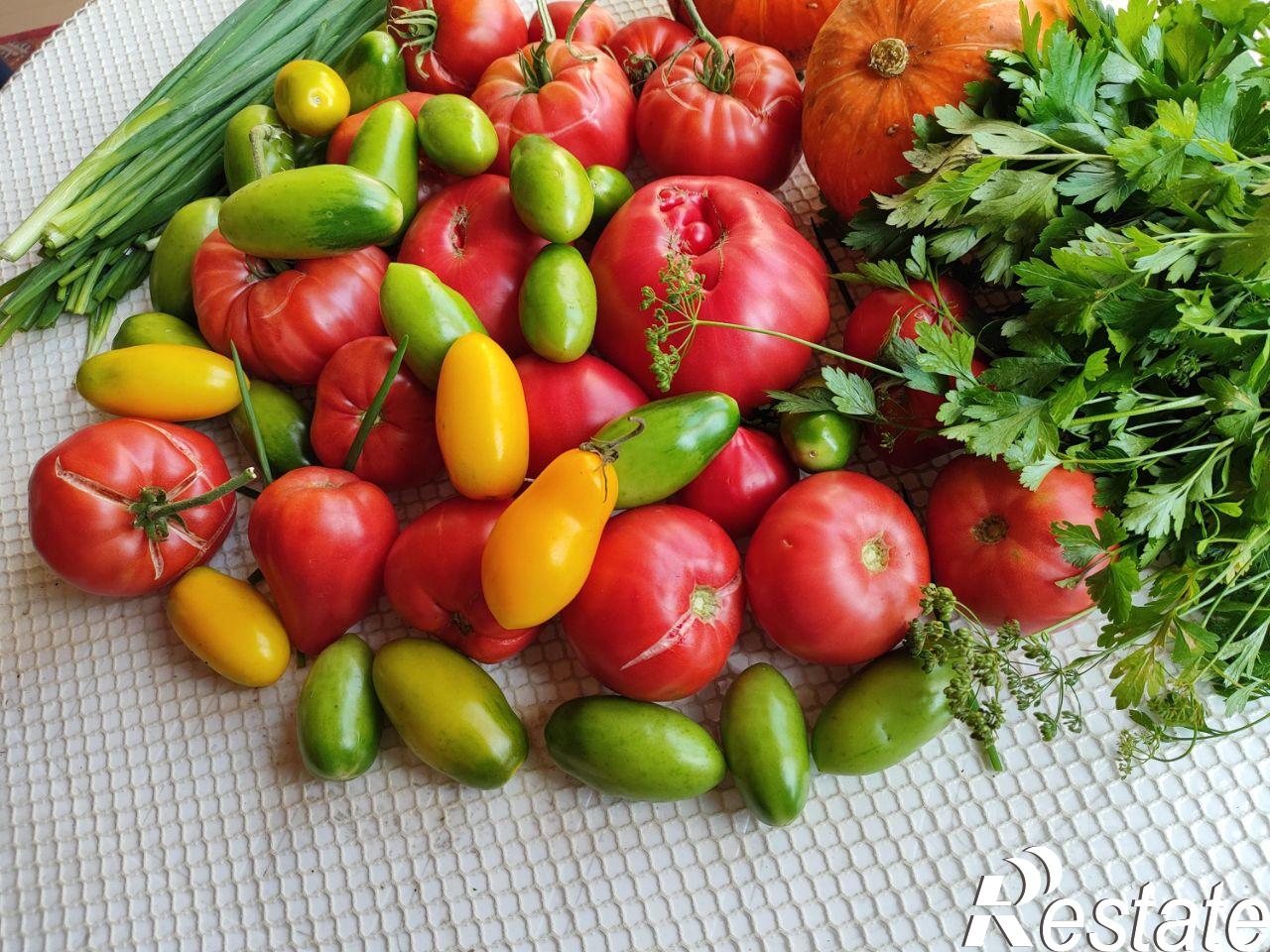 Купить дачу, дом, коттедж за 3 000 000 рублей на 2-я Главная улица