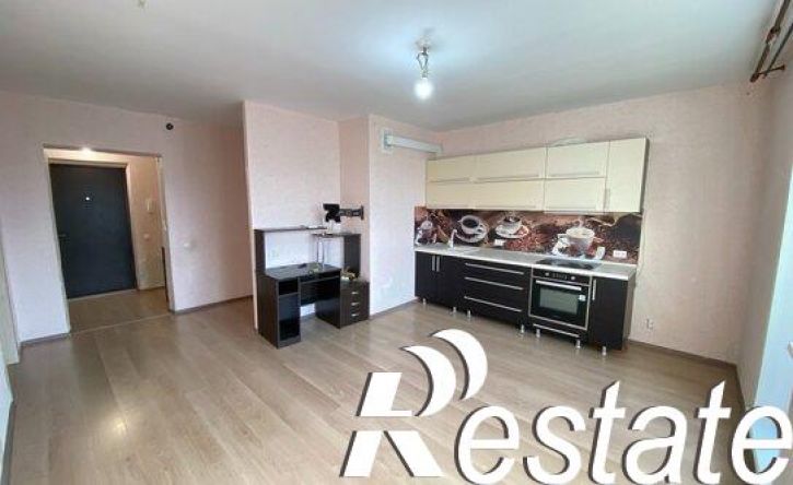 1-комн квартира улица Петра Сумина, 26,  д. 26